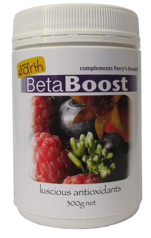 BetaBoost Powder (300g) - Percy Weston